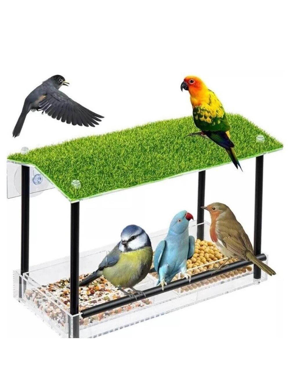 Window Bird Feeder Outdoor Strong Suction Cup Water Drain Transparent Viewing